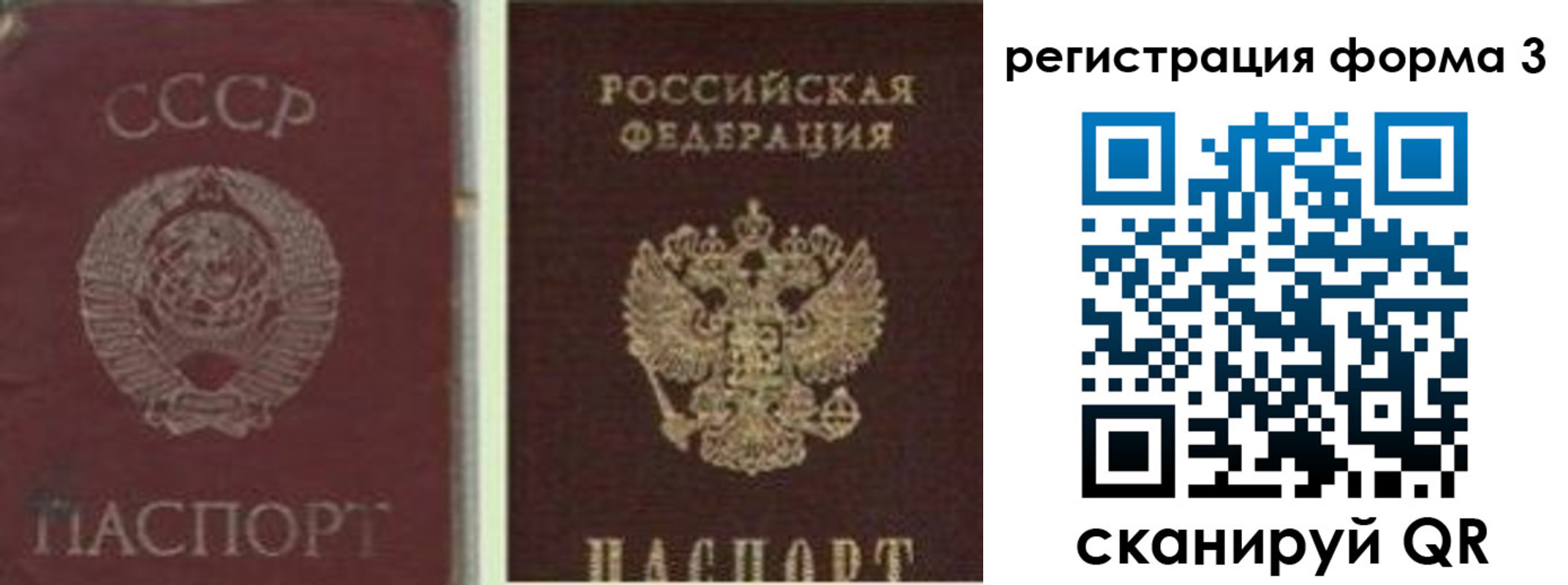 прописка для школы в Берёзовском